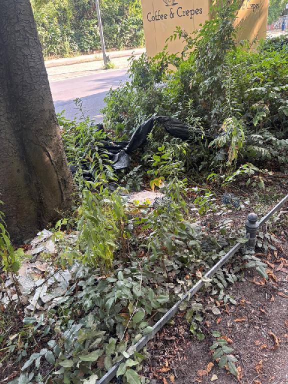 Foto zur Meldung: Abfall - Müllablagerung