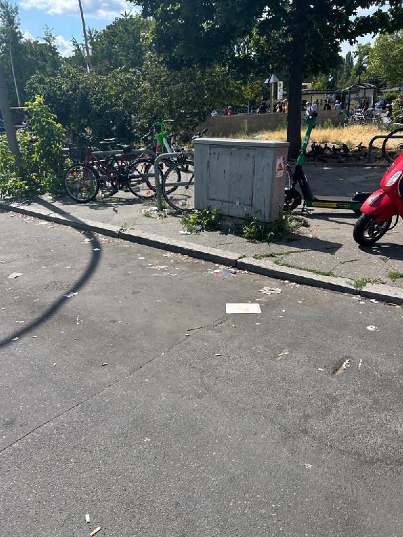 Foto zur Meldung: Straßenaufsicht - Mangelnde Straßenreinigung