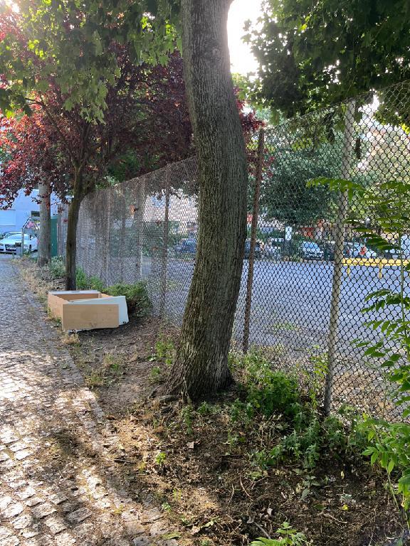 Foto zur Meldung: Abfall - Sperrmüll