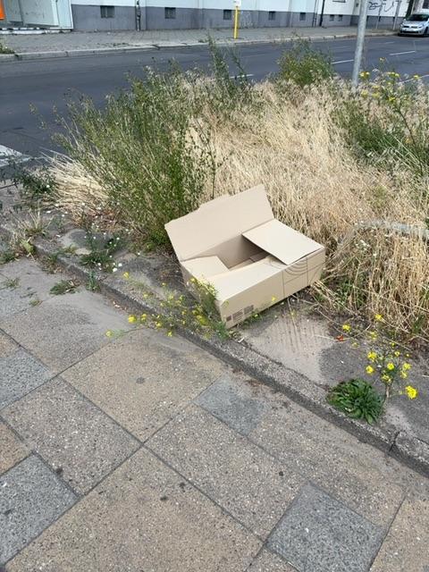 Foto zur Meldung: Abfall - Müllablagerung