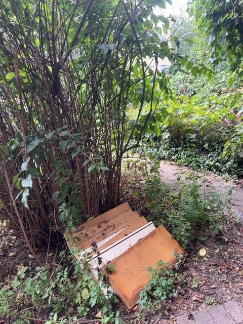 Foto zur Meldung: Abfall - Sperrmüll