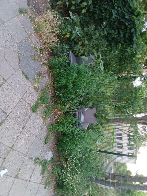 Foto zur Meldung: Abfall - Sperrmüll