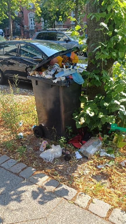 Foto zur Meldung: Abfall - Müllablagerung