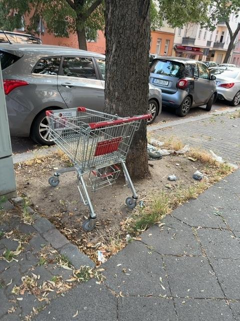Foto zur Meldung: Abfall - Elektroschrott