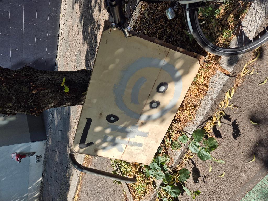 Foto zur Meldung: Abfall - Sperrmüll