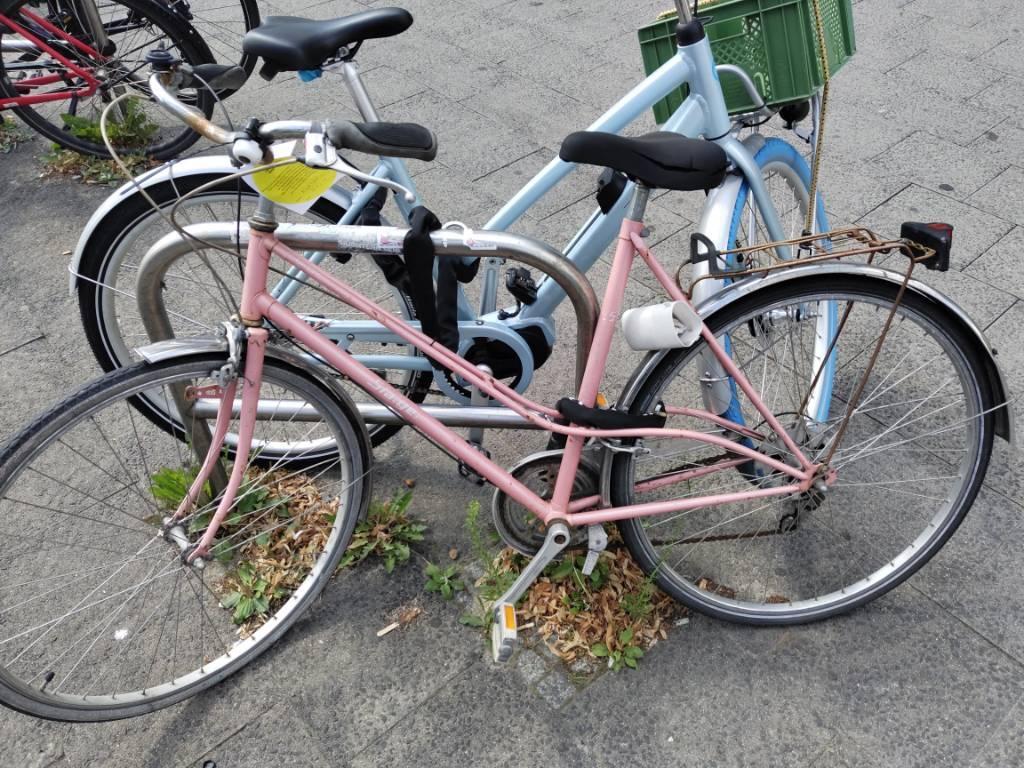 Foto zur Meldung: Abfall - Schrottfahrräder liste