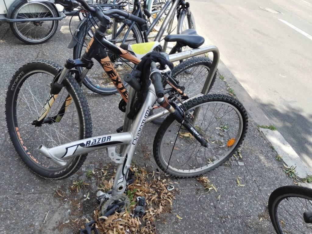 Foto zur Meldung: Abfall - Schrottfahrräder entsorgt