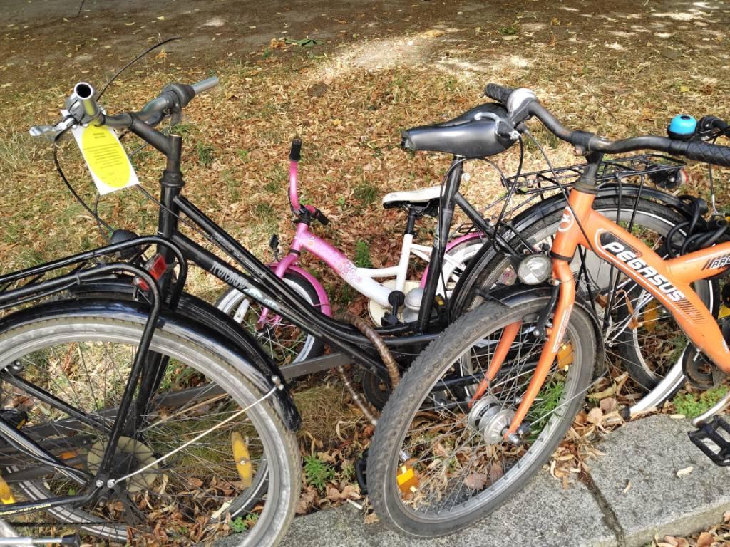 Foto zur Meldung: Abfall - Schrottfahrräder liste