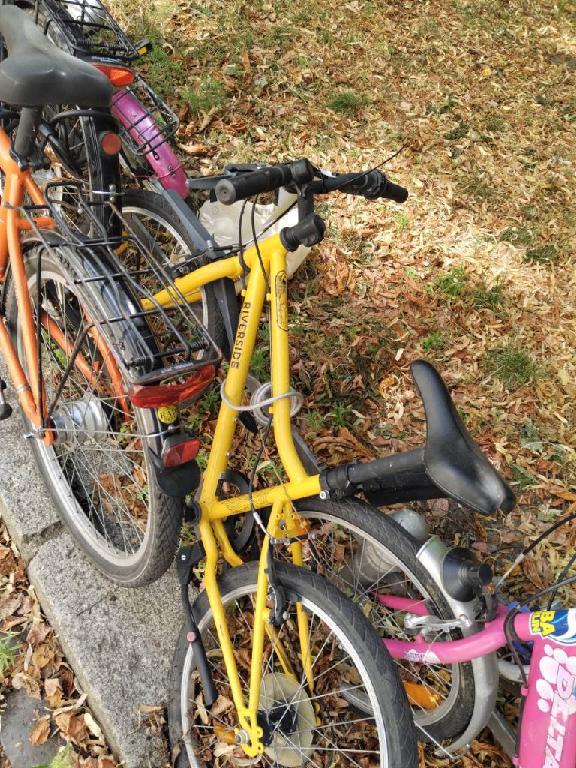 Foto zur Meldung: Abfall - Schrottfahrräder liste