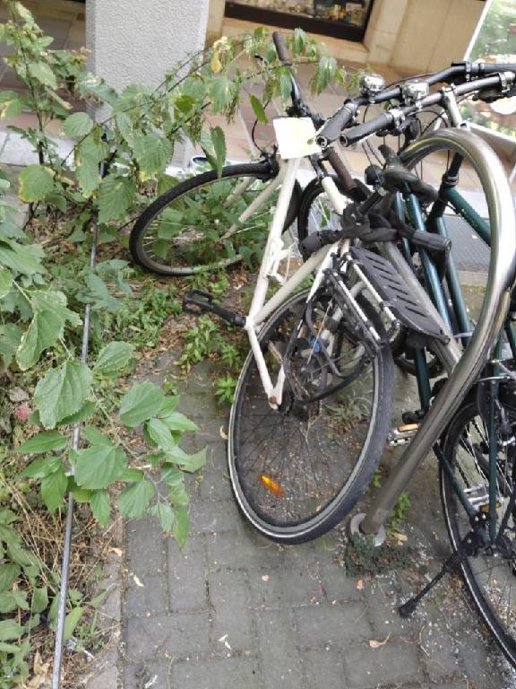 Foto zur Meldung: Abfall - Schrottfahrräder