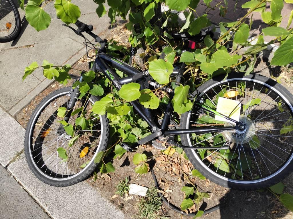 Foto zur Meldung: Abfall - Schrottfahrräder