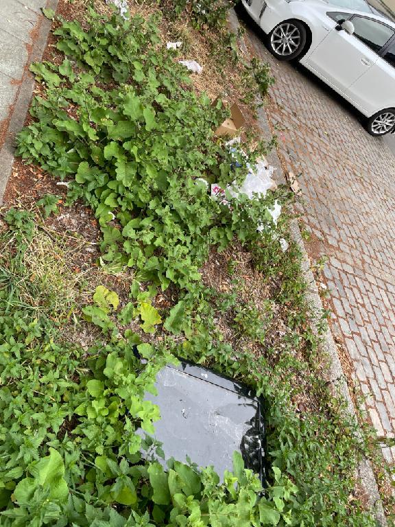 Foto zur Meldung: Abfall - Elektroschrott