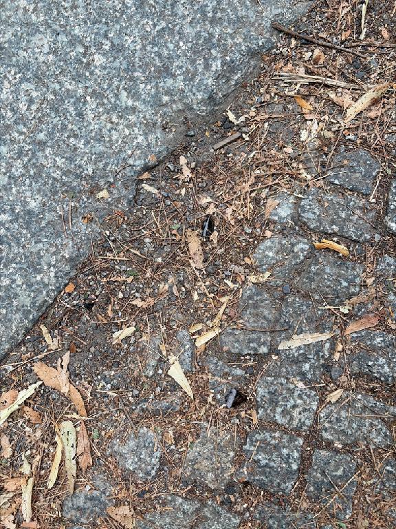Foto zur Meldung: Straßenaufsicht - Mangelnde Straßenreinigung