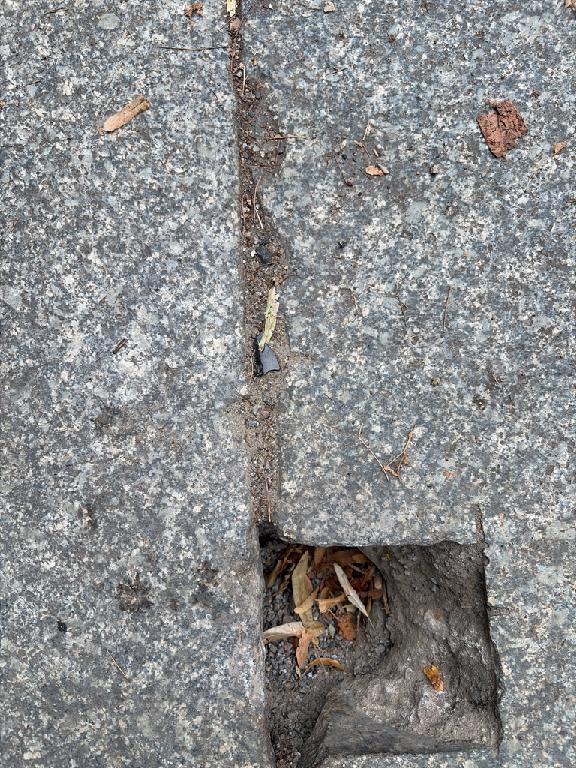 Foto zur Meldung: Straßenaufsicht - Mangelnde Straßenreinigung