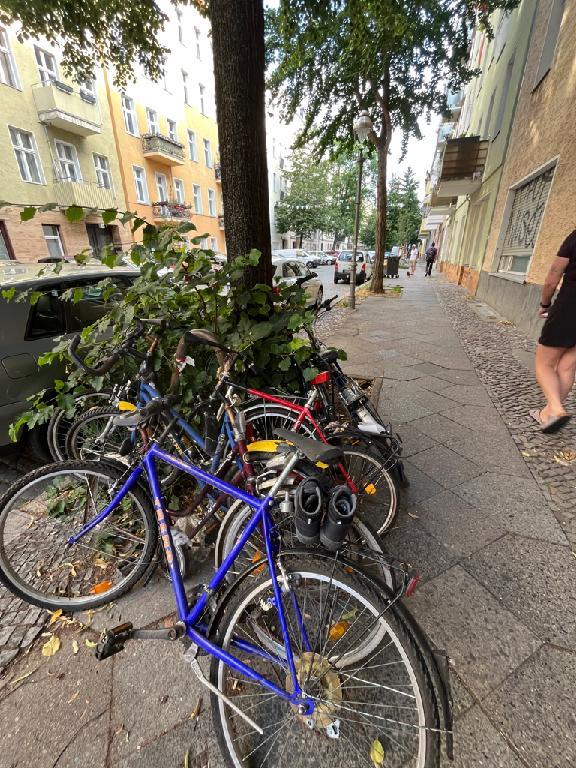 Foto zur Meldung: Abfall - Schrottfahrräder pr.