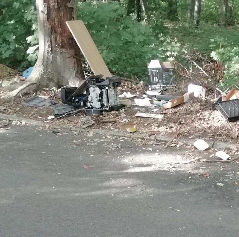 Foto zur Meldung: Abfall - Elektroschrott