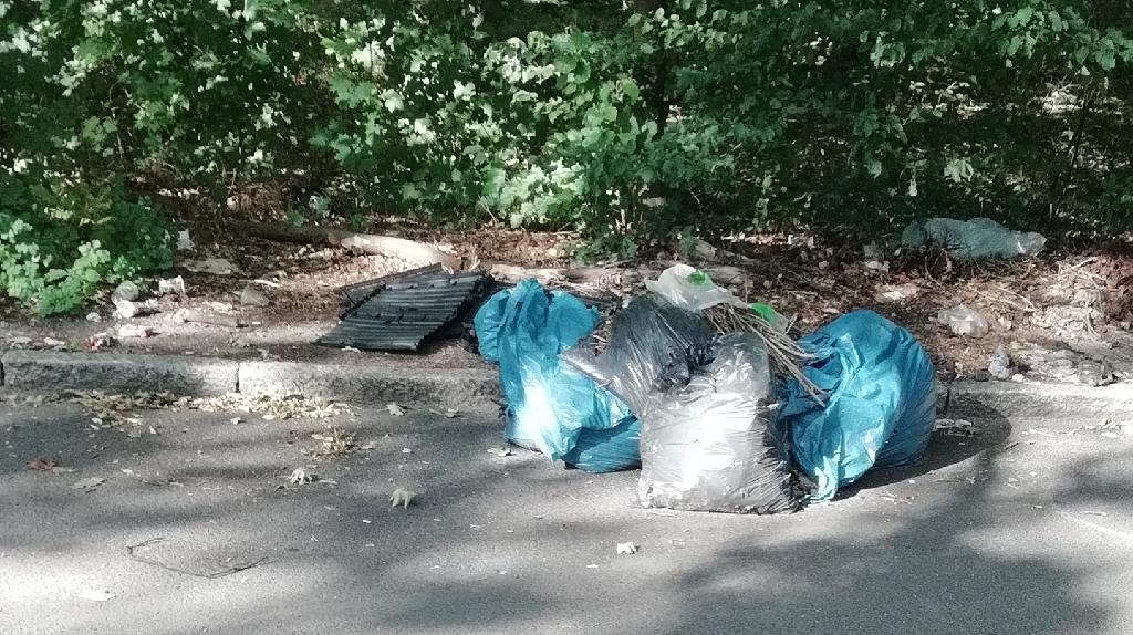 Foto zur Meldung: Abfall - Müllablagerung