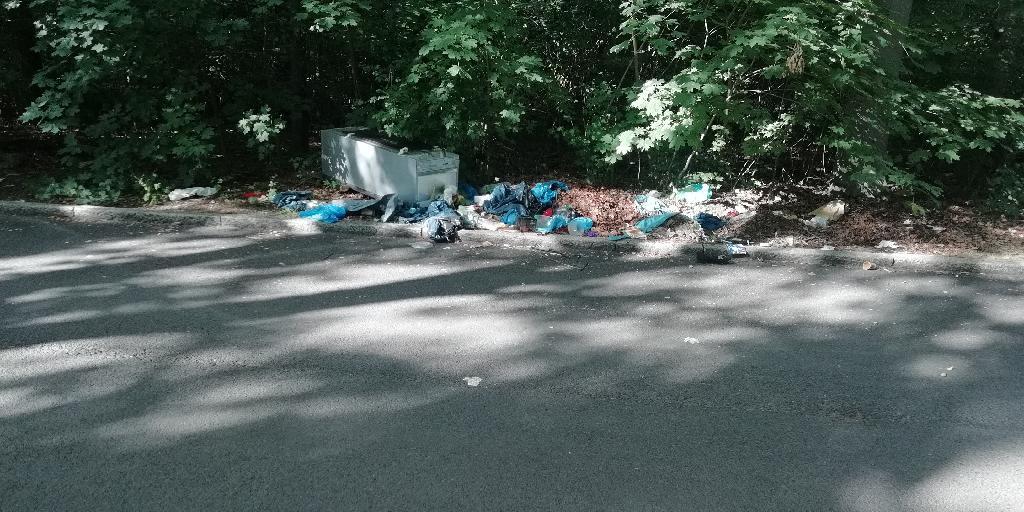 Foto zur Meldung: Abfall - Müllablagerung