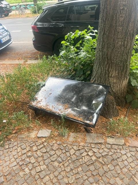 Foto zur Meldung: Abfall - Elektroschrott