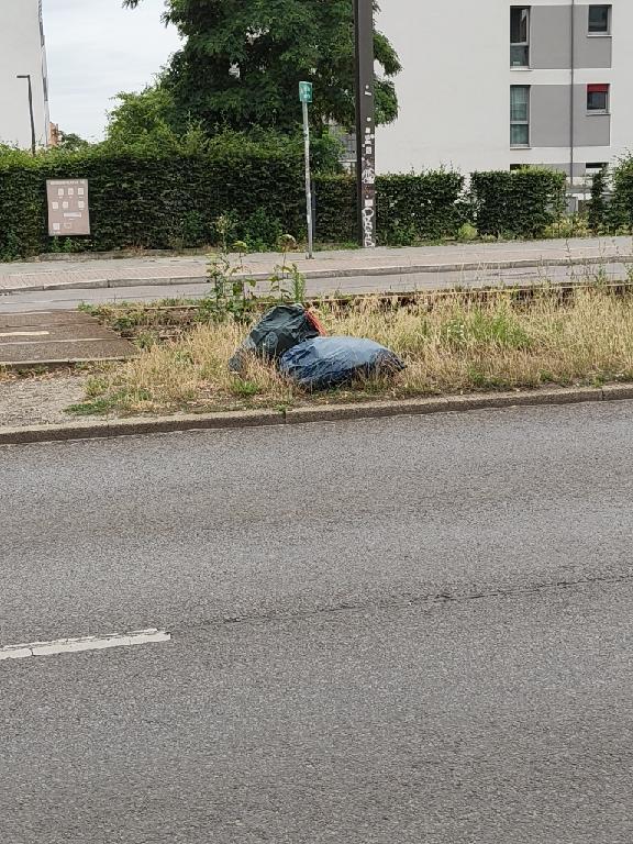 Foto zur Meldung: Abfall - Müllablagerung