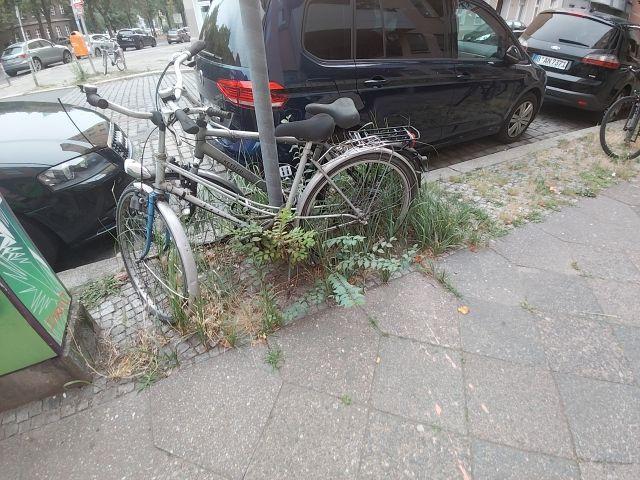 Foto zur Meldung: Abfall - Schrottfahrräder Liste