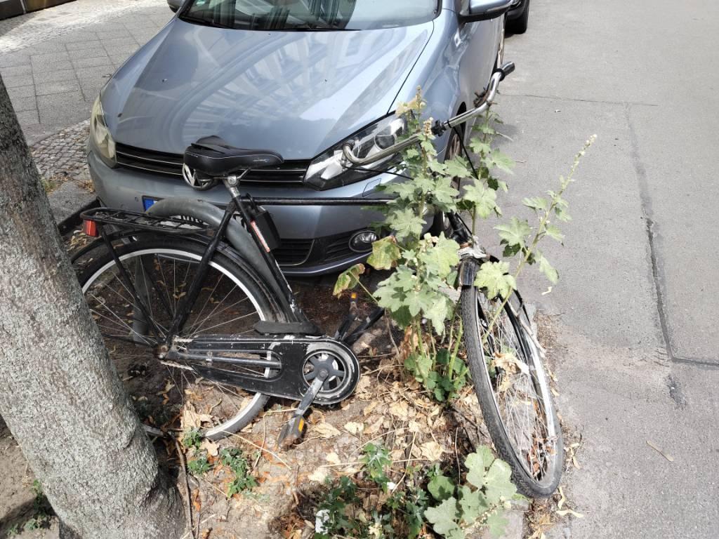 Foto zur Meldung: Abfall - Schrottfahrräder entsorgt