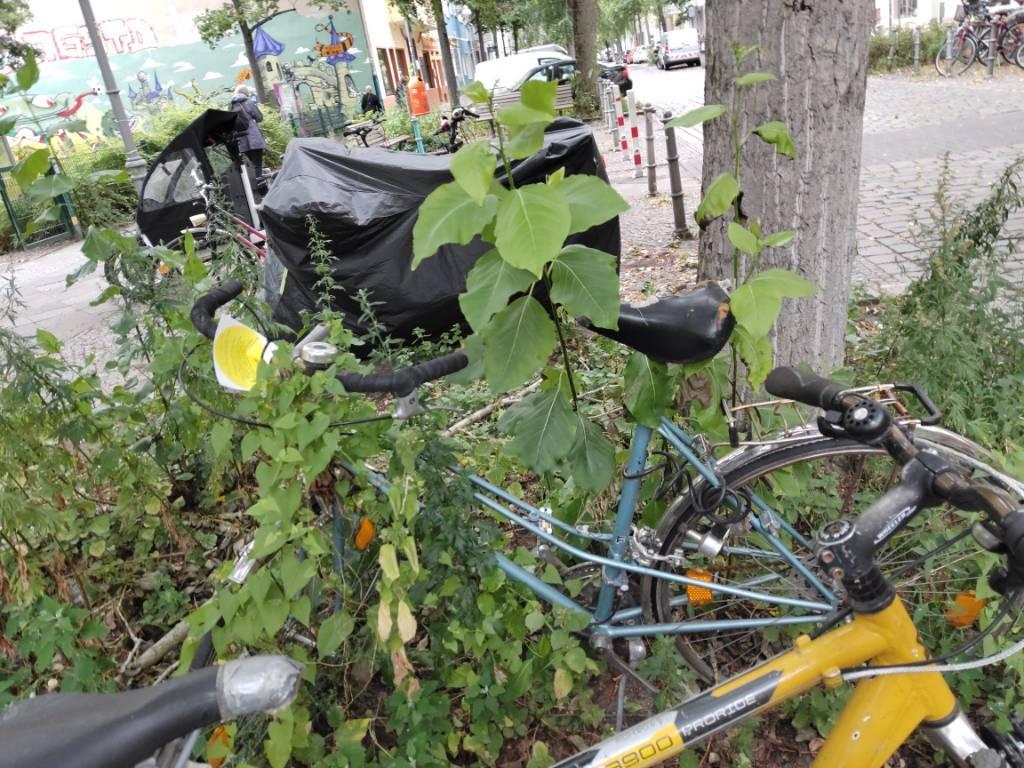 Foto zur Meldung: Abfall - Schrottfahrräder liste