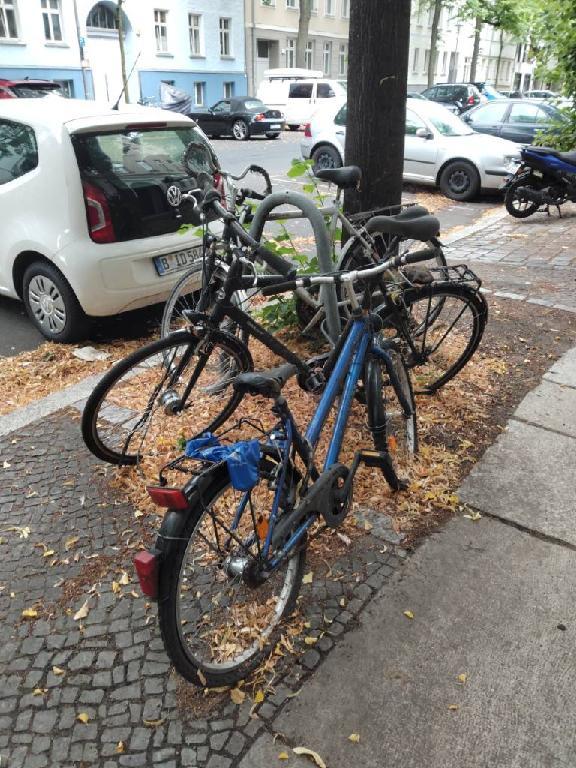 Foto zur Meldung: Abfall - Schrottfahrräder