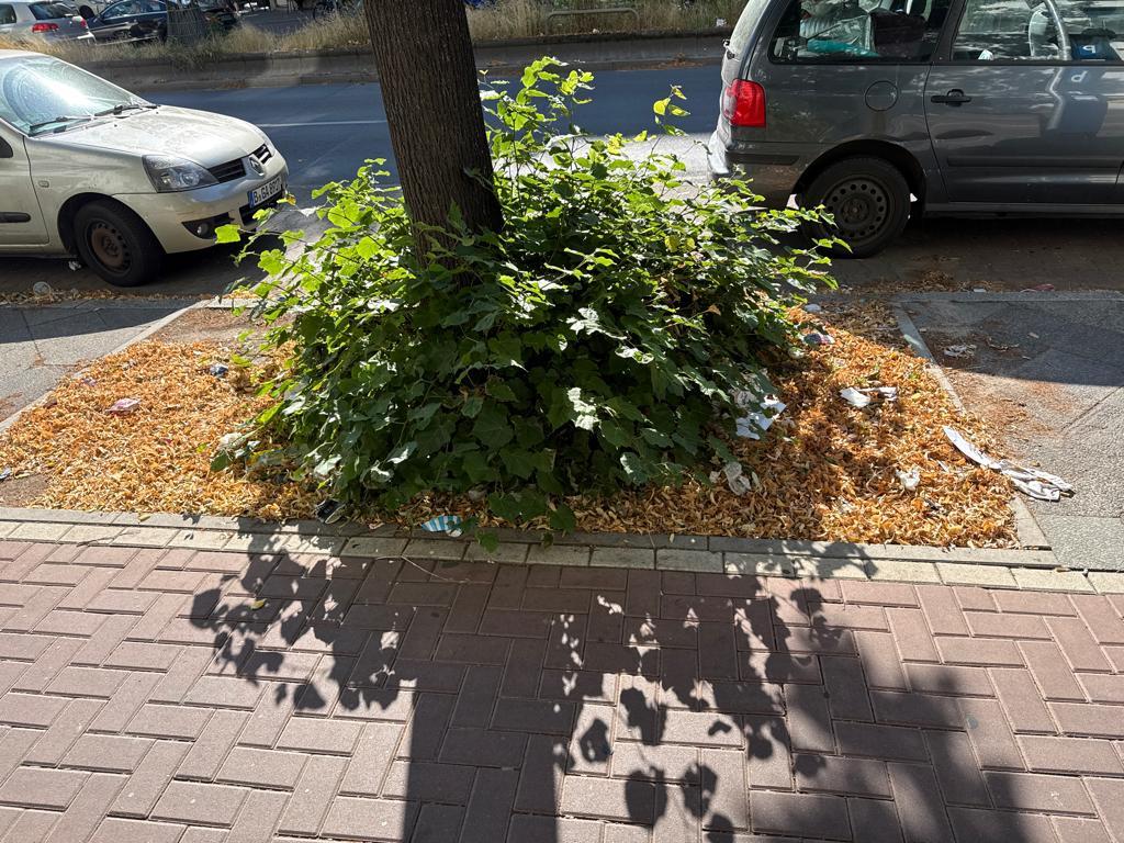 Foto zur Meldung: Abfall - Müllablagerung