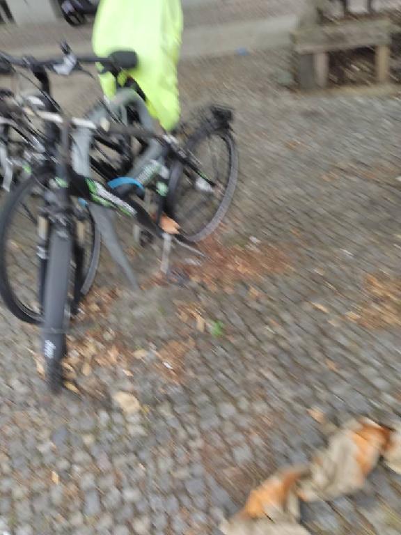 Foto zur Meldung: Abfall - Schrottfahrräder