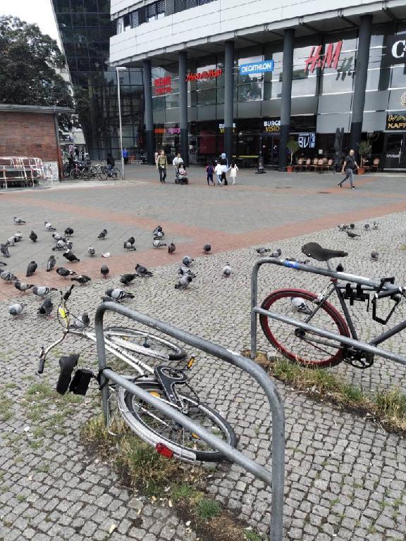 Foto zur Meldung: Abfall - Schrottfahrräder liste