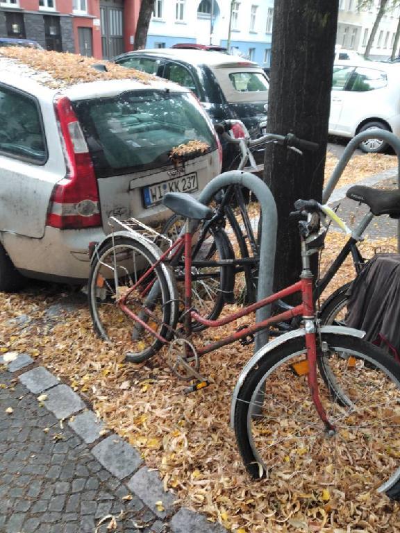 Foto zur Meldung: Abfall - Schrottfahrräder liste