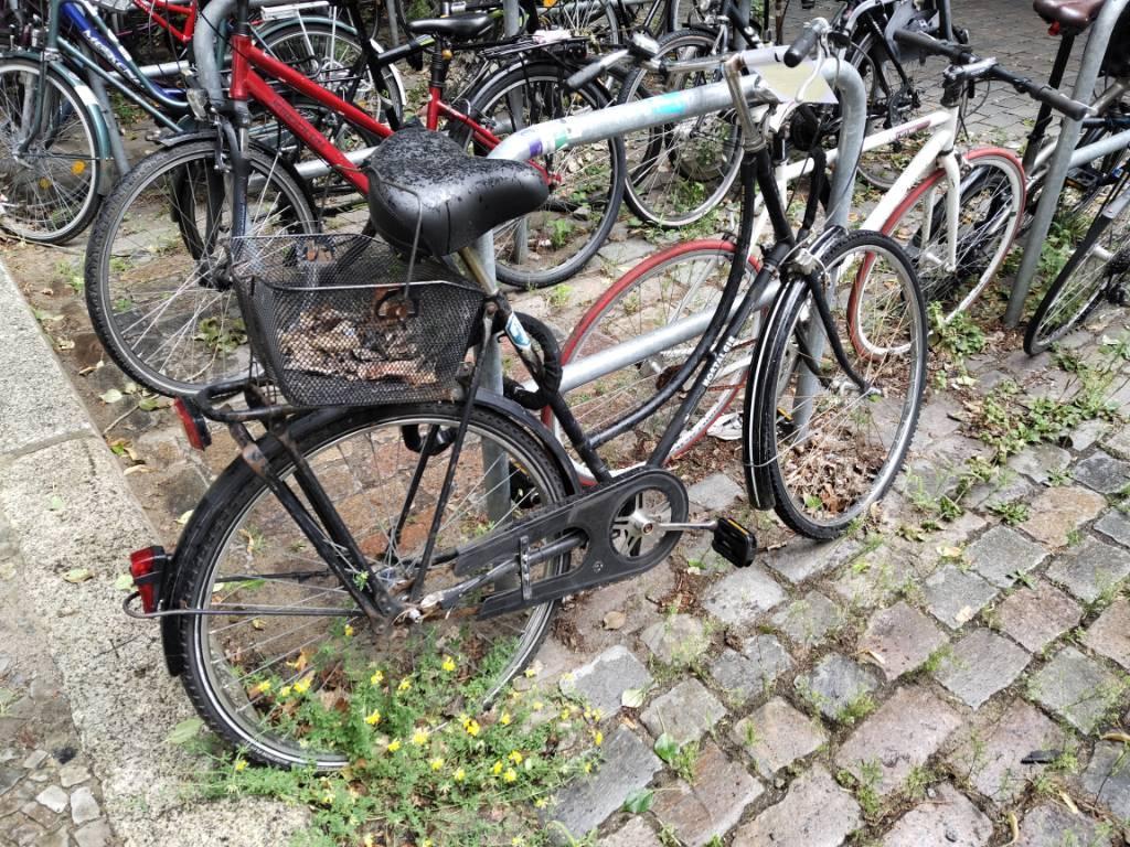 Foto zur Meldung: Abfall - Schrottfahrräder liste