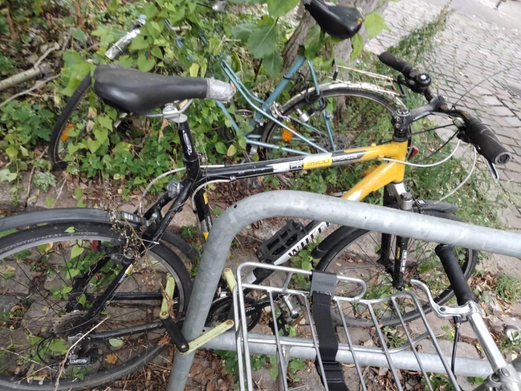 Foto zur Meldung: Abfall - Schrottfahrräder