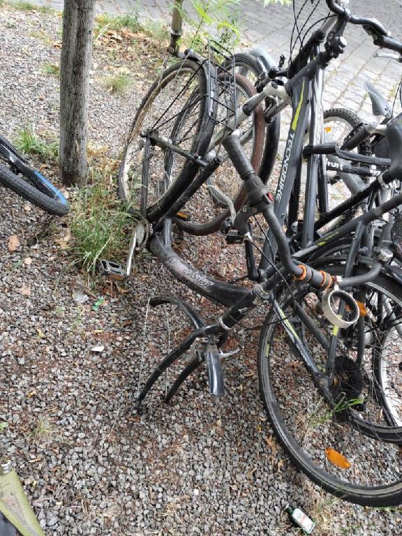 Foto zur Meldung: Abfall - Schrottfahrräder entsorgt