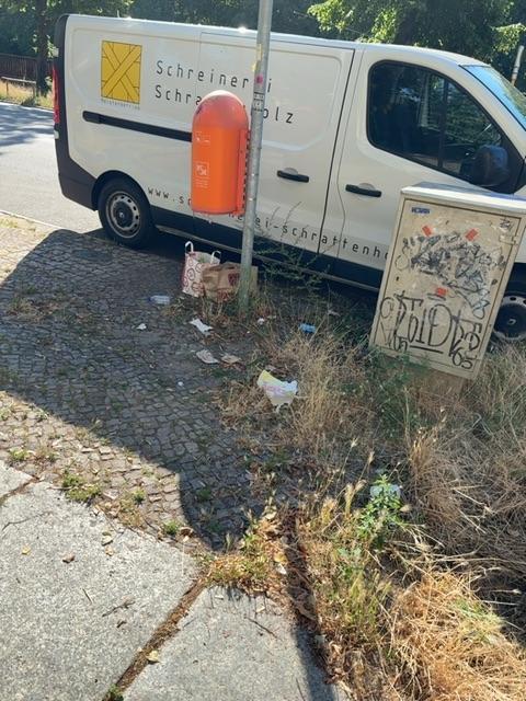 Foto zur Meldung: Straßenaufsicht - Mangelnde Straßenreinigung