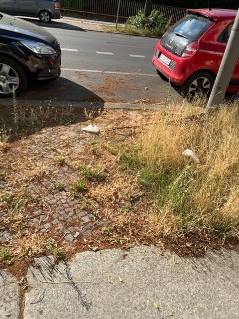 Foto zur Meldung: Abfall - Müllablagerung