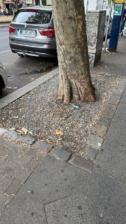 Foto zur Meldung: Straßenaufsicht - Mangelnde Straßenreinigung