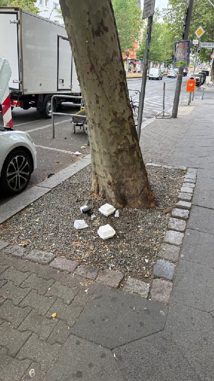 Foto zur Meldung: Straßenaufsicht - Mangelnde Straßenreinigung