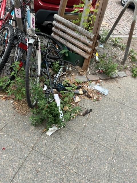 Foto zur Meldung: Abfall - Schrottfahrräder