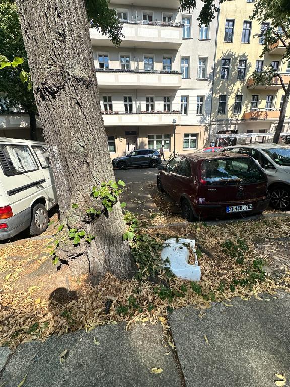 Foto zur Meldung: Abfall - Bauabfälle, Bauschutt