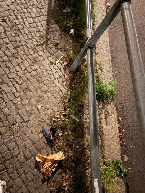 Foto zur Meldung: Straßenaufsicht - Mangelnde Straßenreinigung