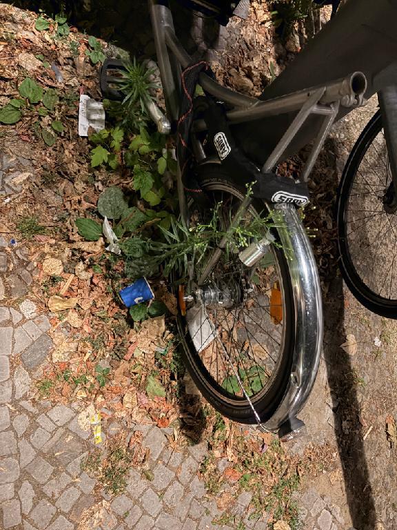 Foto zur Meldung: Straßenaufsicht - Mangelnde Straßenreinigung