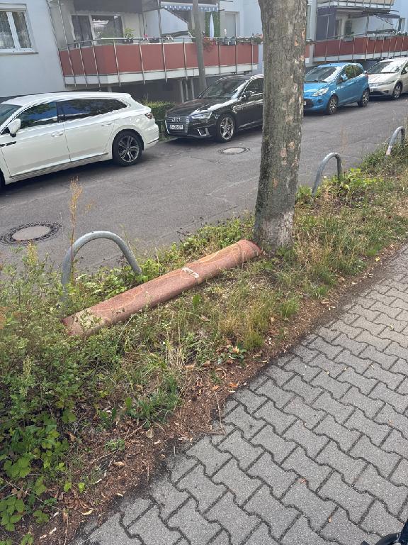 Foto zur Meldung: Abfall - Sperrmüll