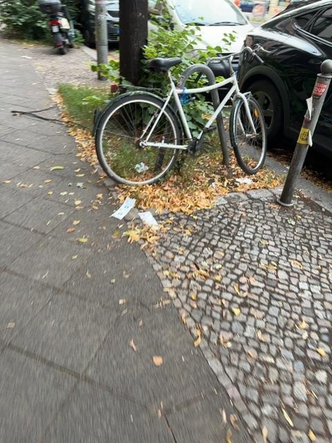 Foto zur Meldung: Abfall - Schrottfahrräder liste