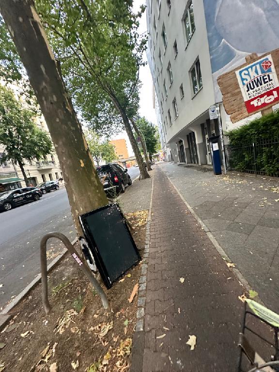 Foto zur Meldung: Abfall - Elektroschrott
