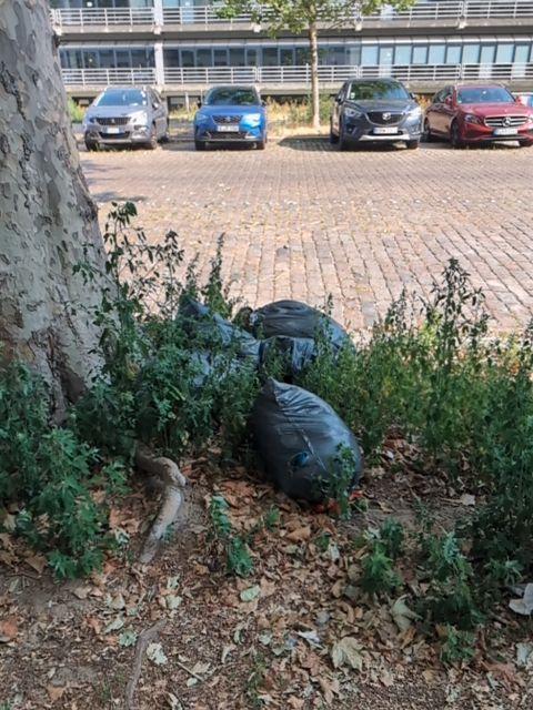 Foto zur Meldung: Abfall - Müllablagerung
