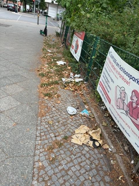 Foto zur Meldung: Straßenaufsicht - Mangelnde Straßenreinigung