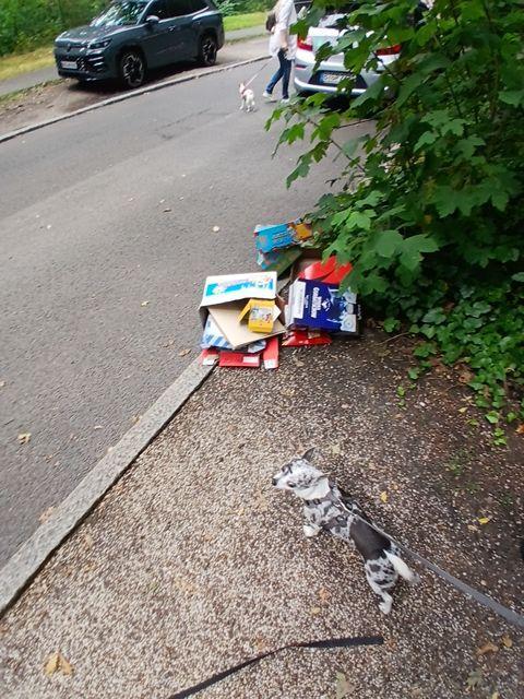 Foto zur Meldung: Abfall - Müllablagerung