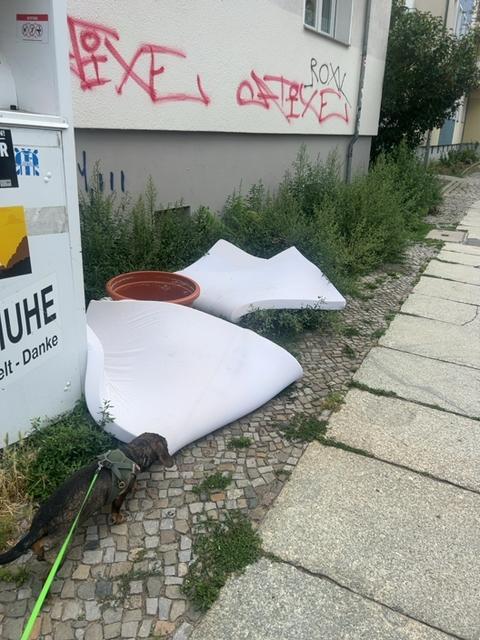 Foto zur Meldung: Abfall - Sperrmüll